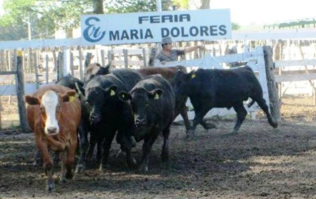 Etchevehere Rural informó la modalidad del remate de este martes 10 en María Dolores