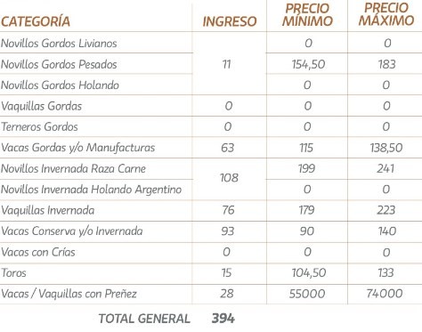 Precios sin cambios para toros y vacas en el remate de La Ganadera en La Paz