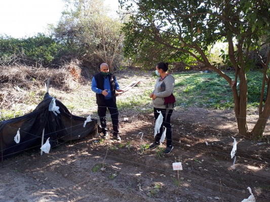 La Agencia Periurbana trabaja junto a vecinos de Anacleto Medina y Bajada Grande