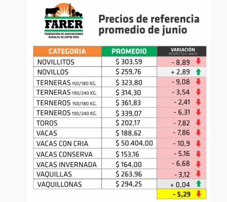En junio continuó la caída de los precios de la hacienda en pie en Entre Ríos