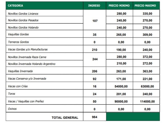 Plaza sostenida en el remate de La Ganadera en Ramírez