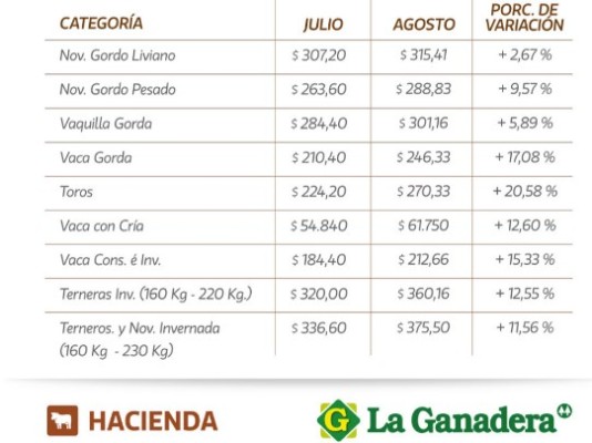 Agosto resultó positivo para los precios de la hacienda en pie