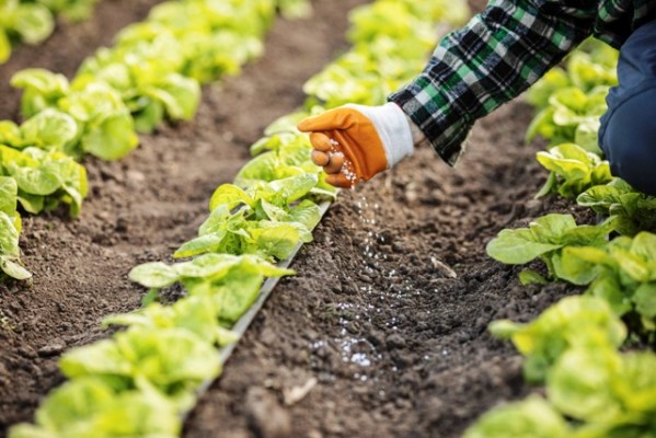 Profertil volvió a lograr el más alto estándar entre las empresas de fertilizantes