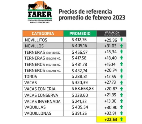 Febrero mostró una importante recuperación del precio de la hacienda