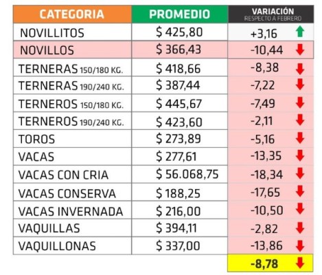 En marzo se cortó la tendencia alcista de los precios de la hacienda en Entre Ríos