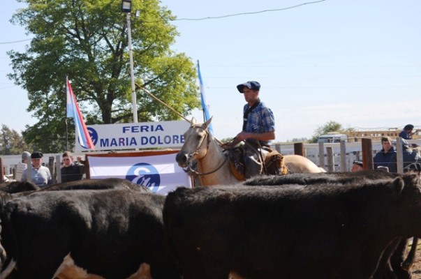 Plaza ágil para la hacienda con destino a faena en el remate aniversario de Etchevehere Rural