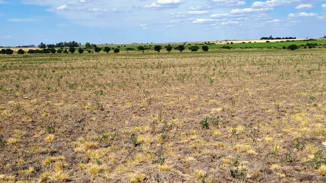 La Mesa de Enlace le pidió al gobierno de Bordet que cumpla sus compromisos