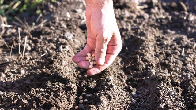 Hoy se celebra el Día del Agricultor