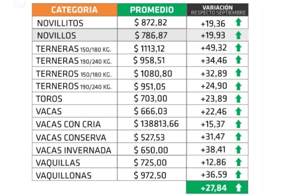 Menor oferta e incertidumbre política explican el alza de los precios de la hacienda en Entre Ríos
