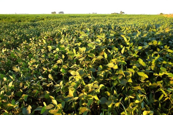 Tecnología e innovación en todos los campos