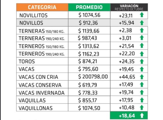 Noviembre acompañó a la inflación y volvió a mostrar una pizarra por encima del 18%