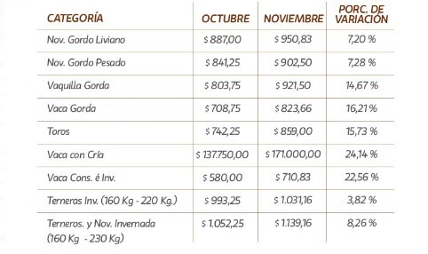 Hubo subas en todas las categorías en los remates de La Ganadera en noviembre