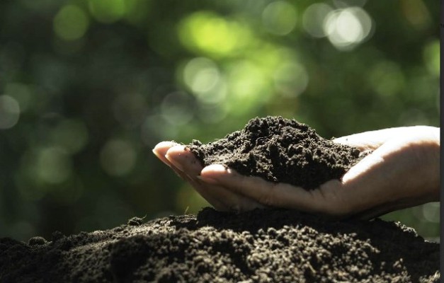 La agricultura regenerativa, clave en la solución ante el cambio climático