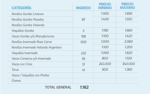 Buenos valores en el remate inaugural de La Ganadera en Cinco Bocas