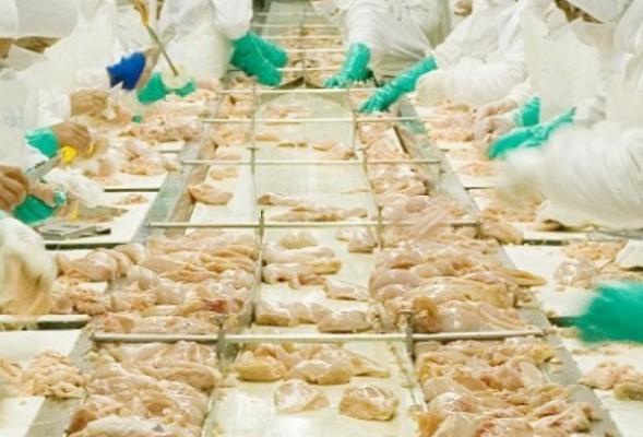 Argentina logró la reapertura del mercado de productos avícolas al Reino Unido