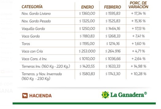 En febrero los precios acompañaron a la inflación en los remates de La Ganadera