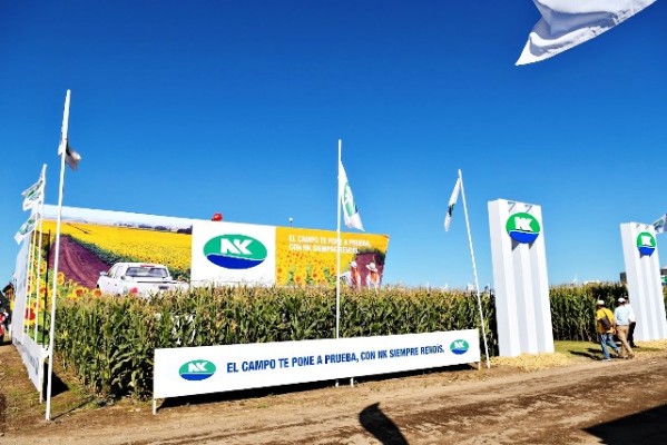 NK presentó en Expoagro novedades en sus tres líneas de cultivos