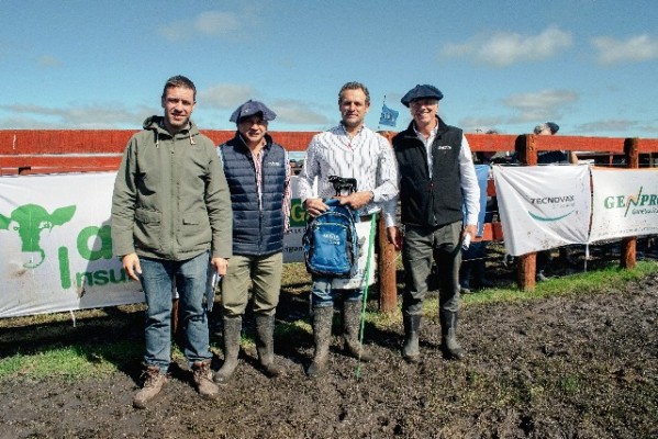 Angus Litoral muestra la mejor genética de la raza en su tradicional Prueba Pastoril