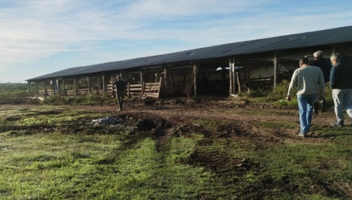 Despoblaron una granja y ordenaron el cese de actividades