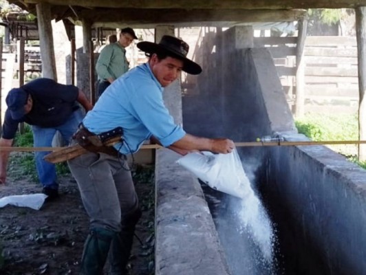 Recomendaciones para el uso responsable de garrapaticidas y el cuidado del ambiente