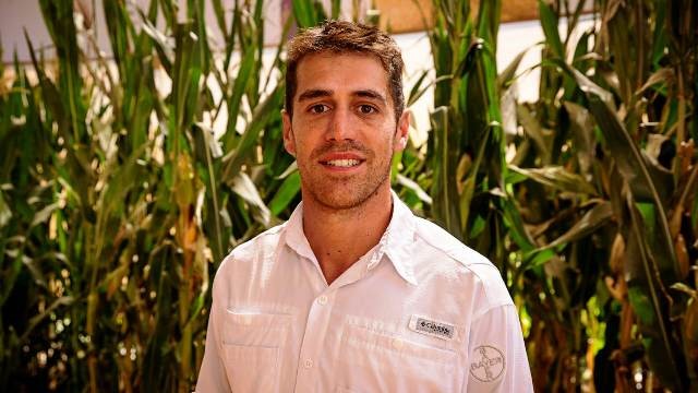 Las estrategias de Bayer para un maíz rentable y sostenible