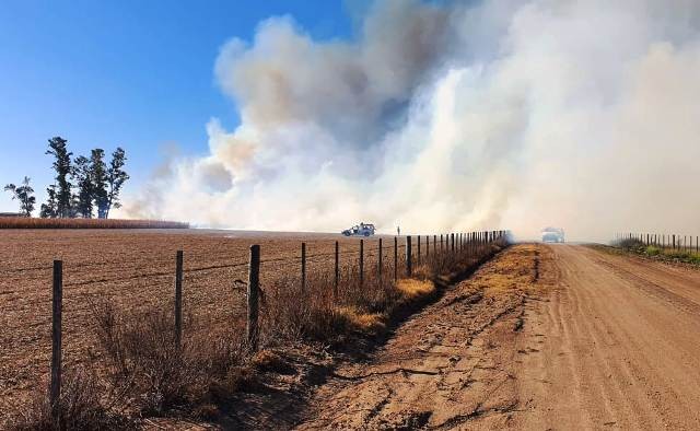 Ley de Manejo del Fuego: es hora de un nuevo debate que corrija errores del pasado