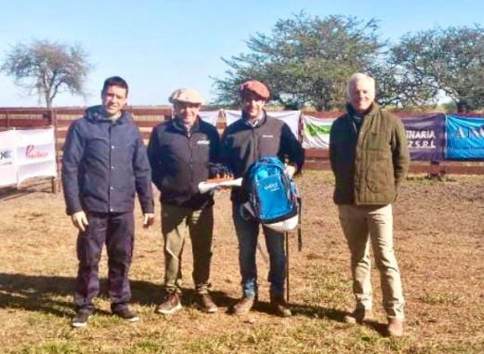 Angus: casi 40 toros participaron de la segunda jura fenotípica de la Prueba Pastoril del Litoral