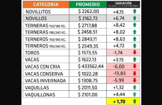 Los precios de la hacienda mostraron disparidad en el último mes de 2024