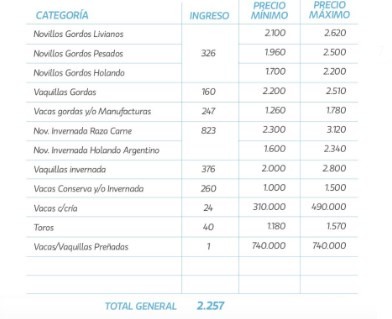Plaza sostenida en el remate de La Ganadera en Ramírez