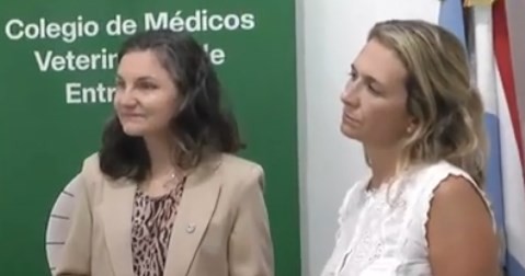 Una resolución provincial apunta a mejorar el bienestar de los equinos