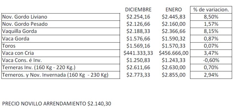 Enero registró valores positivos para la mayoría de las categorías en los remates de La Ganadera