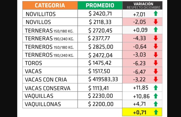 Hacienda en pie: las subas de fin de enero no impactaron en el promedio del mes, pero llegaron a las carnicerías