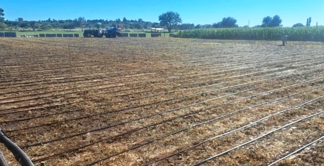 EnBio 2025, la gran propuesta de sumar biológicos a la producción, llega a Victoria