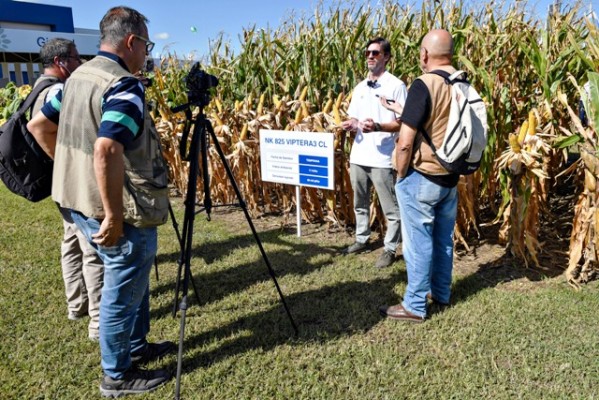 NK lanzó en Expoagro 2025 un nuevo maíz