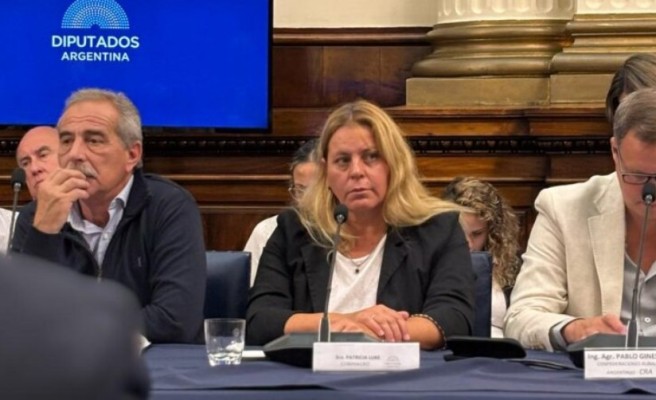 Para Coninagro eliminar las retenciones significaría más inversión, más empleo y más producción