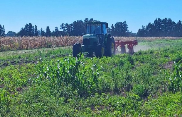 En el INTA Paraná se realiza 2ª Jornada Regional de Manejo de Malezas