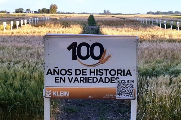 Las novedades de Klein para trigo y girasol