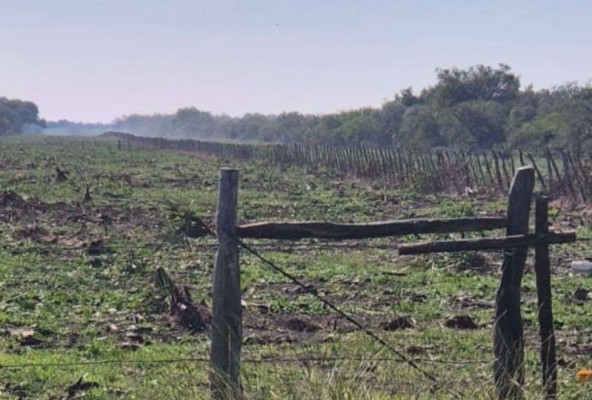 La Justicia ordena cese de desmonte y reconoce responsabilidad ambiental