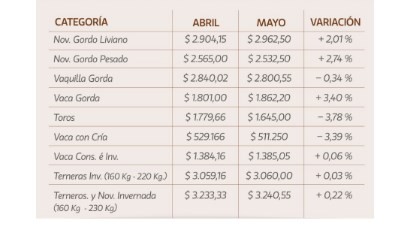 En mayo hubo un ajuste de precios en los remates de La Ganadera