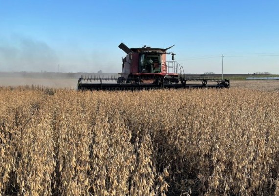 La producción entrerriana de soja fue la tercera más importante del siglo