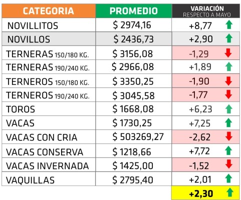 Hacienda en pie: una plaza estable arrojó una pizarra positiva de 2,3%