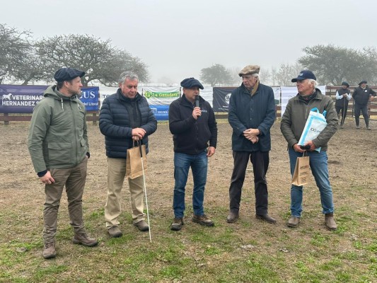 Angus: se realizó en Federal la segunda jura fenotípica de la 9ª Prueba Pastoril del Litoral