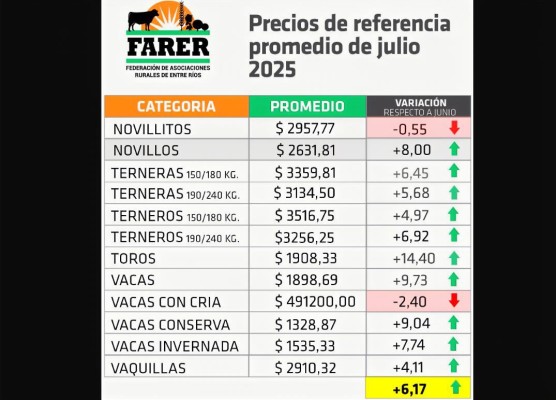 Precios alza en los remates de hacienda en pie en Entre Ríos