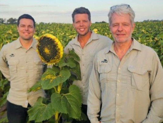 ZETA Semillas dio a conocer su completo abanico de híbridos de girasol
