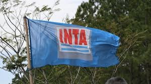 El Gobierno acata el fallo de la Justicia y el INTA zafa de la motosierra