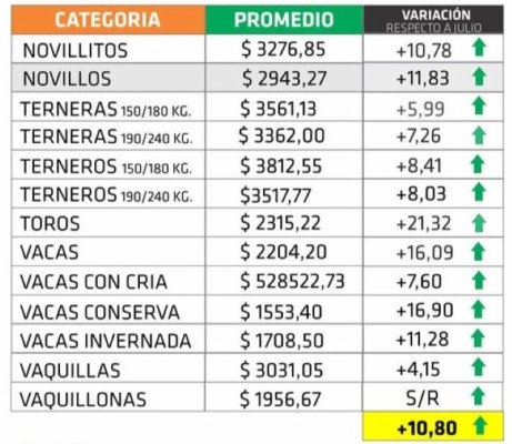 Subas de dos dígitos en la mayoría de las categorías de hacienda en pie