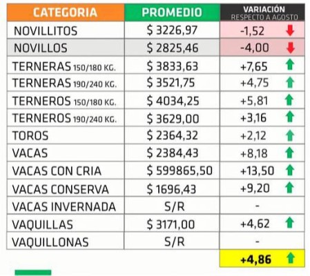 En Entre Ríos el precio de la hacienda en pie mostró una suba promedio del 4,86% en septiembre