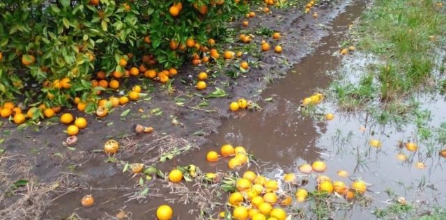 Se oficializó la emergencia agropecuaria 