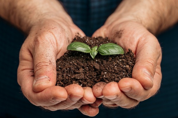 Día Mundial de los Fertilizantes: ¿Qué son y por qué se conmemora esta fecha?