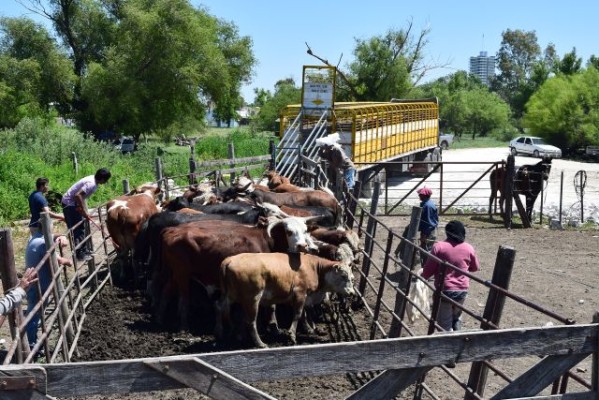 Resaltaron el éxito el DUT que 